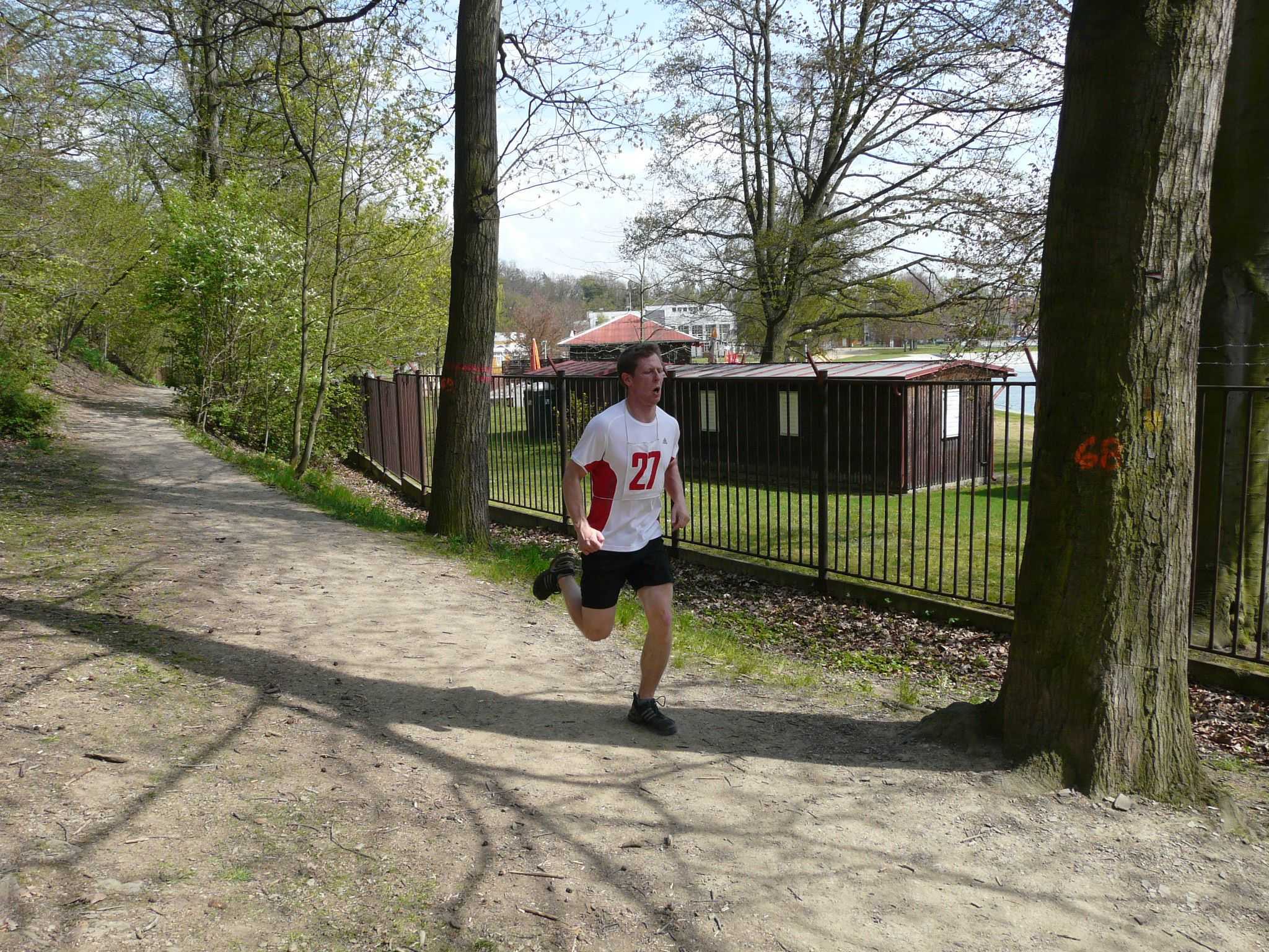 Obrázek pro rok 2010